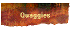 Quaggies