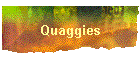 Quaggies